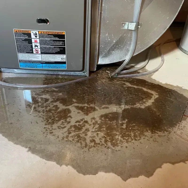 Appliance Leak Cleanup in Matanuska-Susitna Borough, AK